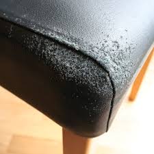 How To Repair Cat Scratched Leather
