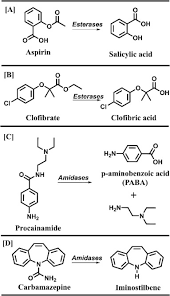 Chemical Metabolite Synthesis And