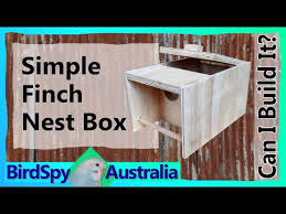 Simple Finch Nest Box Can I Build It