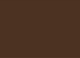 Premium Range Nippon Paint Dark Brown