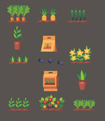 Garden Plot Vector Art Icons And