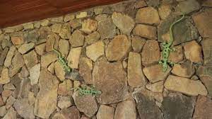 Stone Wall With Patterned Fake Lizards