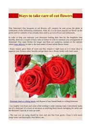 Ways To Take Care Of Cut Flowers Pdf