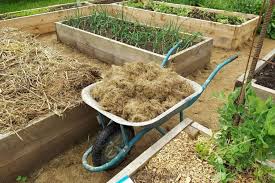 How To Fill Raised Garden Beds Ly