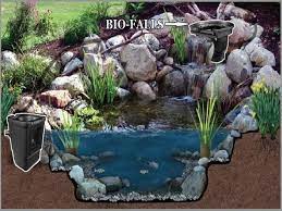 How To Build A Backyard Koi Pond You