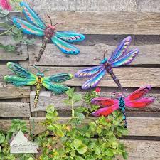 Dragonfly Rl Home Decor Gifts