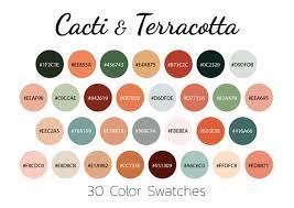 Cacti Terracotta Color Swatches Color