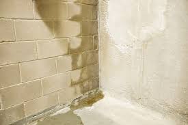 Major Causes Of Basement Moisture How