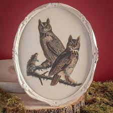 Vintage Owls Wall Art Acorn