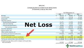 Net Loss What Is It Formula Example