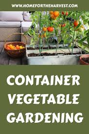 Container Vegetable Gardening Grow