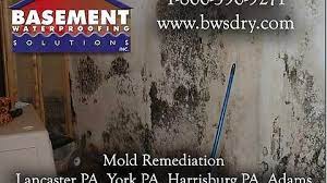 Basement Waterproofing Bwsdry