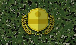 Military Camouflage Background With