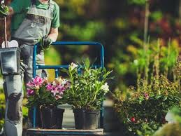 April Gardening Tasks Tips For