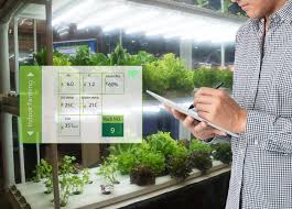 What Is Vertical Farming The Future Of