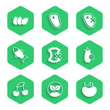 100 000 Stevia Icons Vector Images