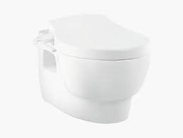 Kohler White Ove Wall Hung Wc For