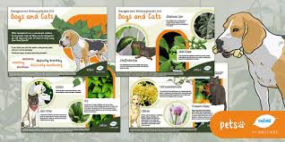 Dangerous Houseplants For Dogs And Cats