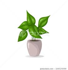 House Plant In Ceramic Pot Icon