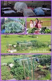 5 000 Sq Ft Vegetable Garden Plan