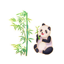 Tired Panda In The Bamboo Trees Mascot