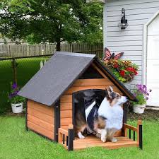 Aivituvin Outdoor Dog House With Porch