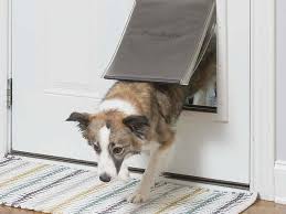 Cat Flap Dog Door Installations Pet