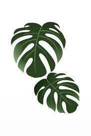 Monstera Leaf Flower Wall Art Poster