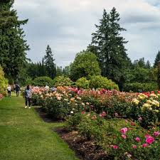 Hoyt Arboretum Portland S Museum Of