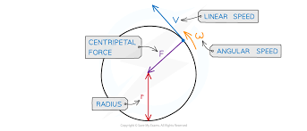 Centripetal Force Edexcel A Level