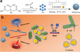 Fluorescent Carbon Dot Curcumin