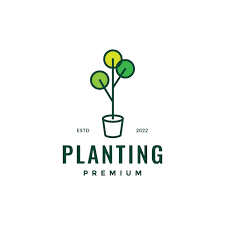 Planting Vase Pots Gardening Flower