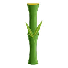 Vector Bamboo Plant Icon Cartoon
