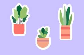 Plant Green Garden Design Icon Stickers