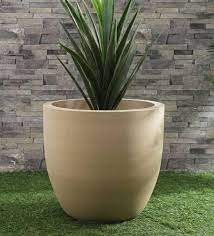 Planter Box Buy Flower Plant