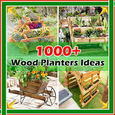 1000 Wood Planters Ideas 适用于
