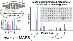 Individual Ion Mass Spectrometry