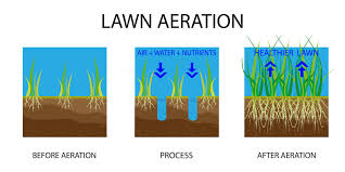 When And How To Aerate Your Lawn At