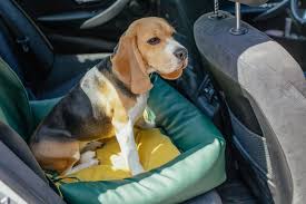 10 Best Dog Car Seats Booster Seats