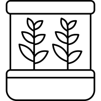 Herb Garden Icons Free Svg Png Herb
