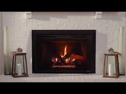 Heat Glo Gas Fireplace Inserts