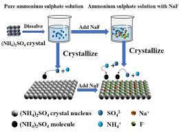 Ammonium Sulfate Crystallization