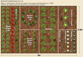 19 Vegetable Garden Plans Layout