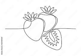 Line Drawing Of Organic Strawberries