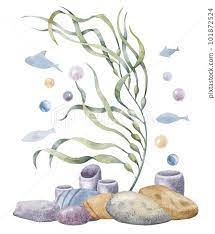Seaweed With Seabed And Fishes And