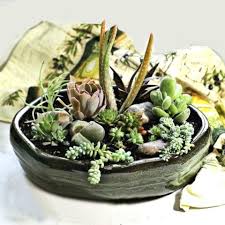 Succulent Arrangement Diy Dish Garden