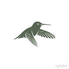 Hummingbird Design Vector Ilration