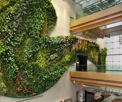 Vegan Friendly Luxury Hotels In Hong