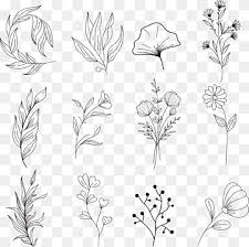 Flower Minimal Png Images Pngwing