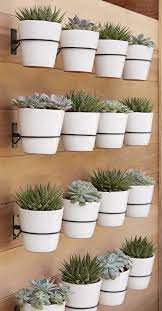 Wall Planters Easy Decor Ideas